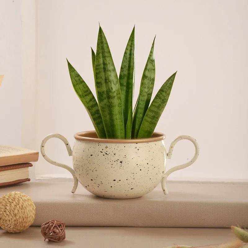 Aero Bloom Drift Planter media 3
