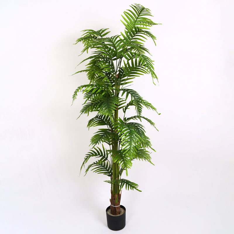 Verdiq II Artificial Plant With Black Plastic Pot - 6 Feet media 4