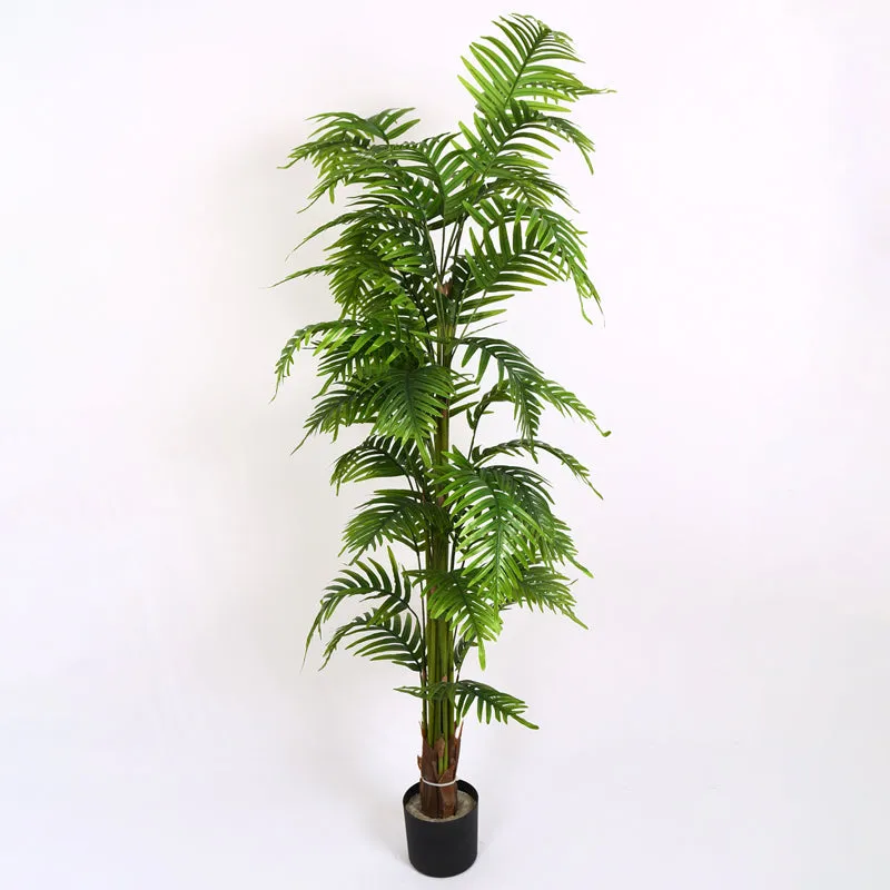 Verdiq II Artificial Plant With Black Plastic Pot - 6 Feet media 4