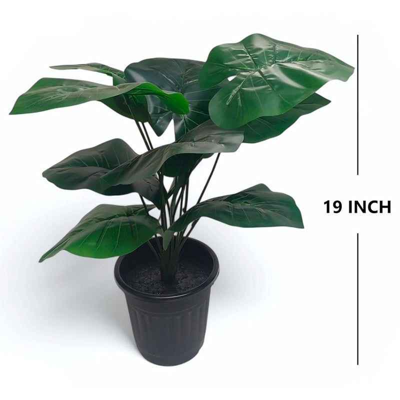 Mossique Artificial Elephant Ear Plant - 1.5 Feet media 6