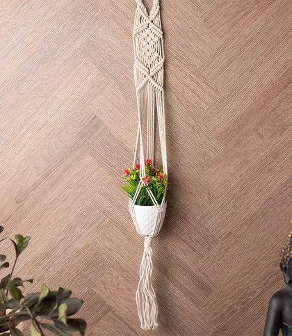 Cotton
