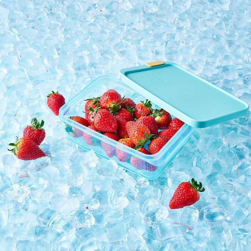 Vayen Premium Container - 1050 mL media 4