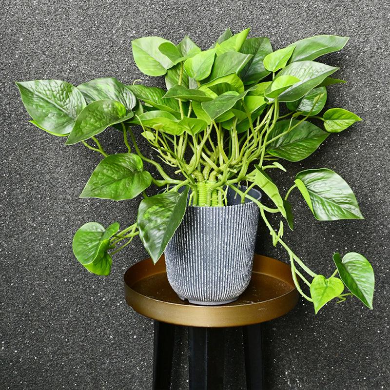Pothera Artificial Pothos Plant With Black Plastic Pot - 40 cm media 5