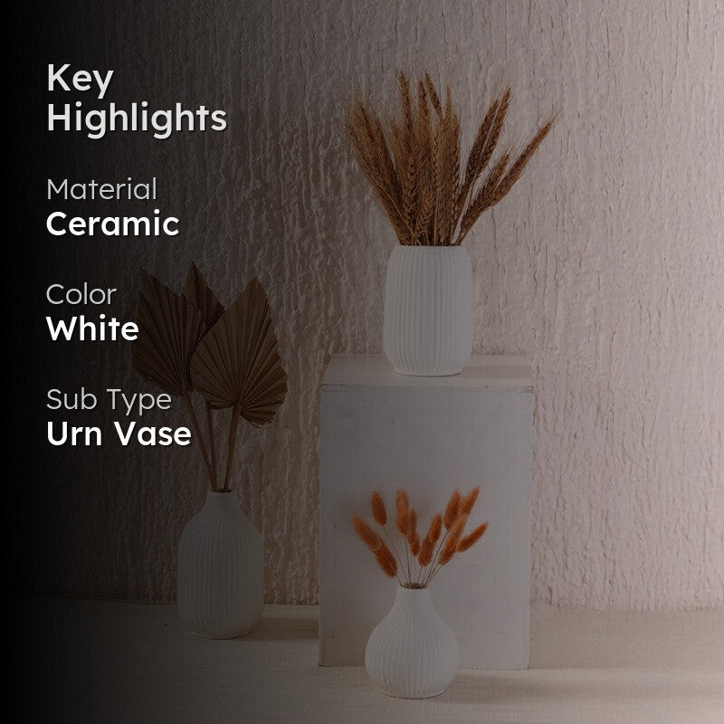 Bisto Vase -Set Of Three media 2