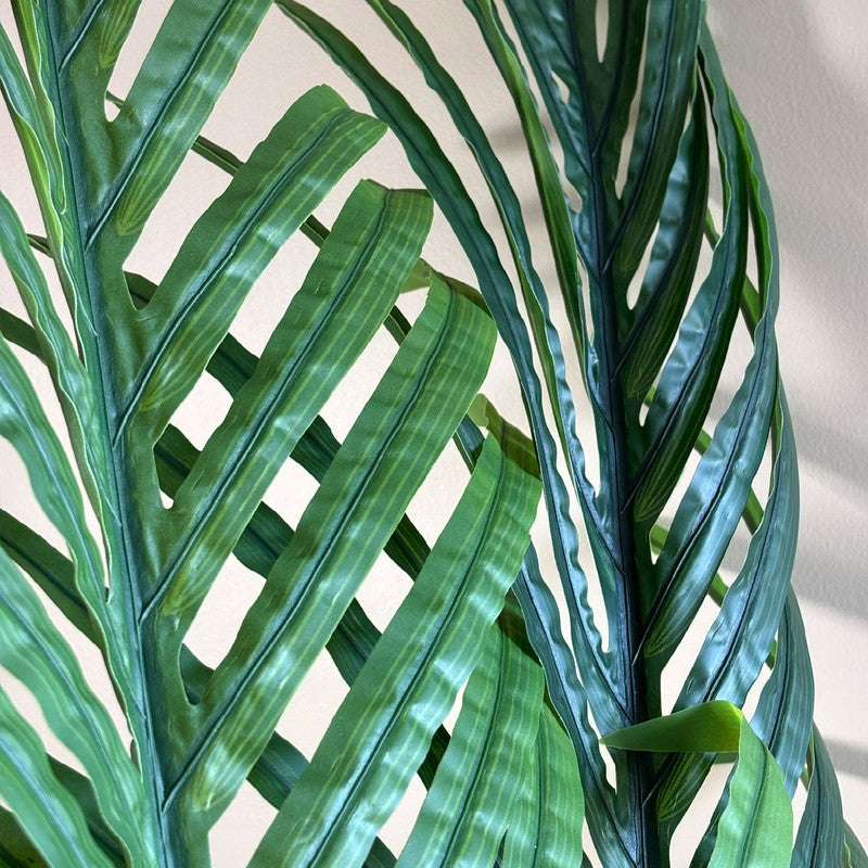 Areca Palm Artificial Plant With Black Plastic Pot - 170 cm (5.6 ft) media 5