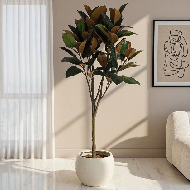 Faux Lush Mangolia Plant With Black Plastic Pot -5 Feet