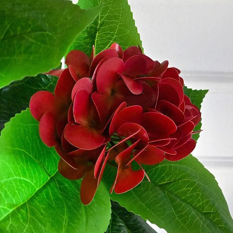 Faux Everlasting Hydrangea Plant With Black Plastic Pot (Red) - 76 cm (2.5 ft) - 4