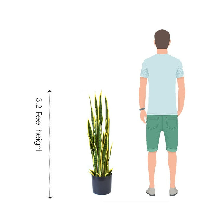 Plantae Artificial Snake Plant With Black Plastic Pot - 3.2 Feet media 7
