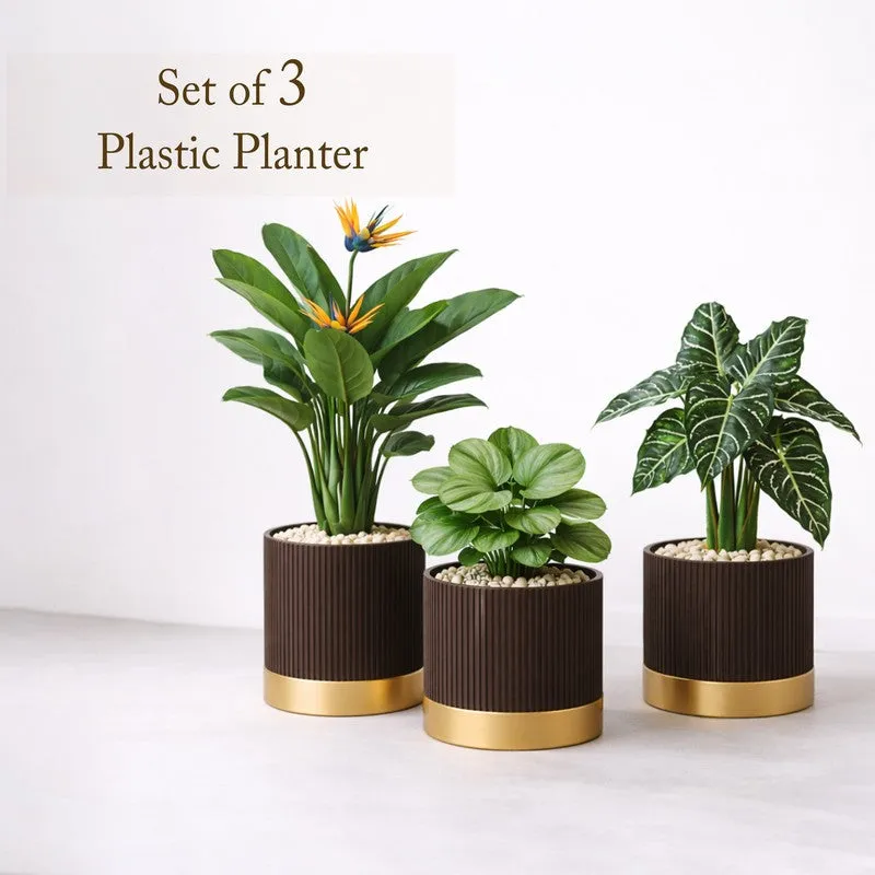Solterra Planters (Brown) - Set Of Three media 3