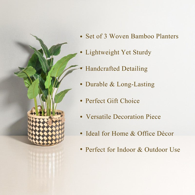 Florenza Bamboo Planters - Set Of Three media 6