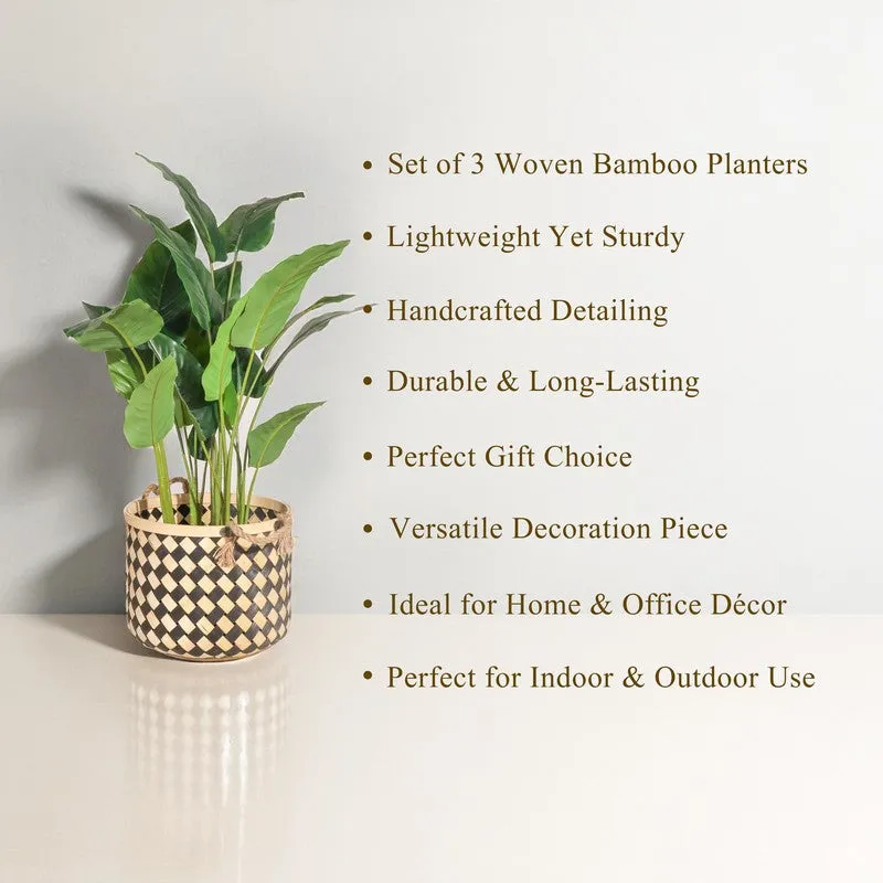 A bamboo planter holding a leafy plant, with two matching planters nearby.