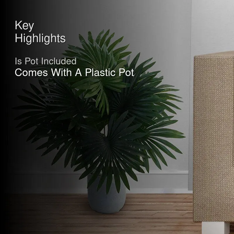 Faux Everlasting Areca Plant With Black Plastic Pot - 65 cm (2.1 ft) media 2