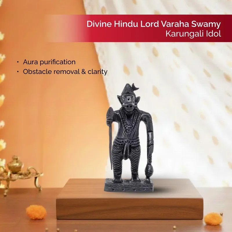 Lord Varaha Divine Ebony Wood Idol media 4