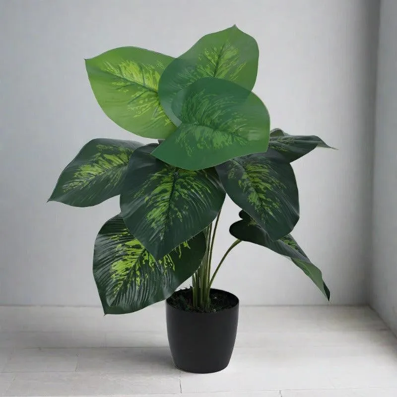 Faux Deco Dieffenbachia Silk Plant With Black Plastic Pot - 55 cms media 3
