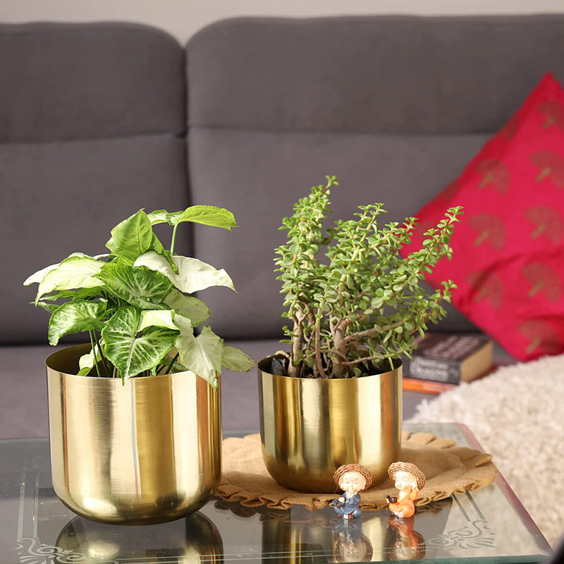 Luxe Glow Planter (Gold) - Set Of Two media 2