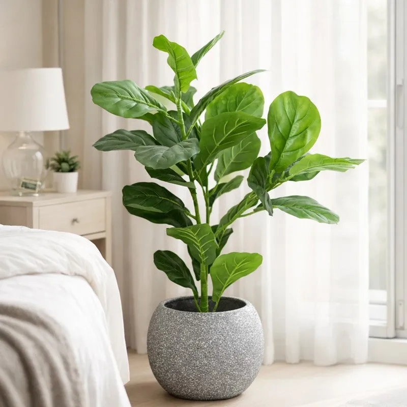 Leaf Aura Fiddle Artificial Plant With Black Plastic Pot - 89 cm (2.9 ft) media 7