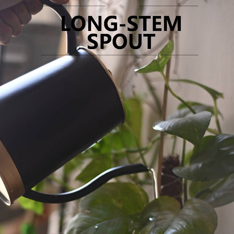 Edana Watering Can - Black media 6
