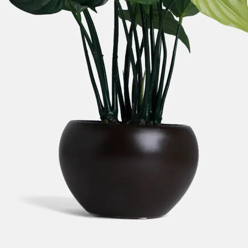 Faux Alocasia Bonsai In Bowl Pot - 37 cms media 3