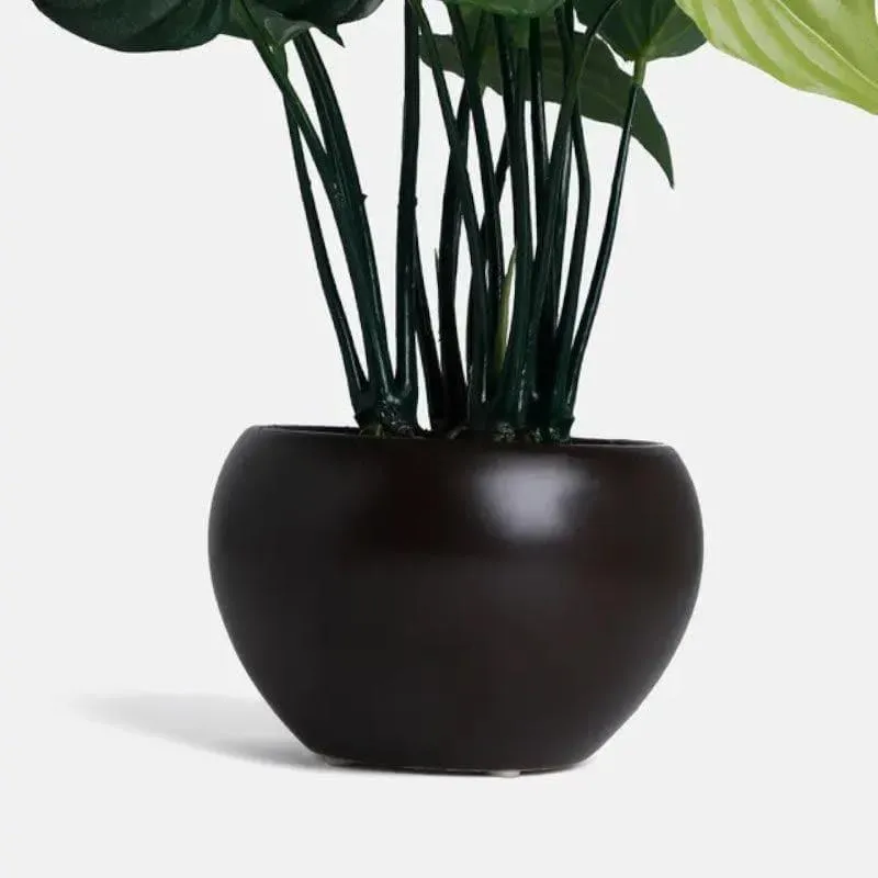 Faux Alocasia Bonsai In Bowl Pot - 37 cms media 3