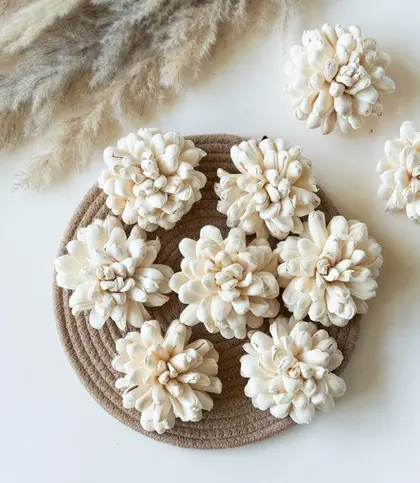 Solawood