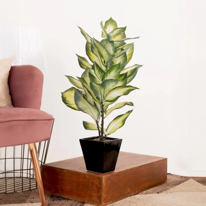 EverLeaf Artificial Plant With Black Fiber Pot - 2 Feet media 3