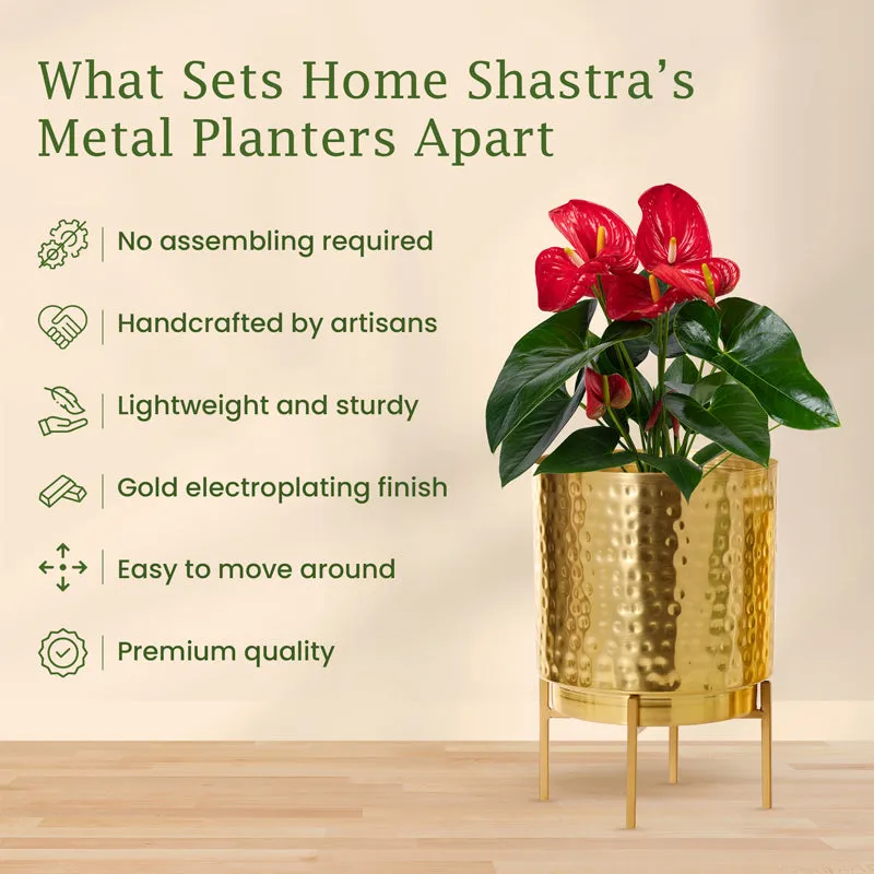 Vida Ember Golden Planter with Stand media 4