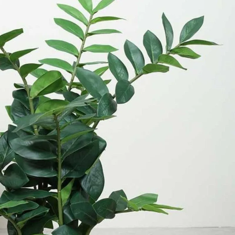 Artificial Emerald Palm Plant With Black Fiber Pot - 2.5 Feet media 5