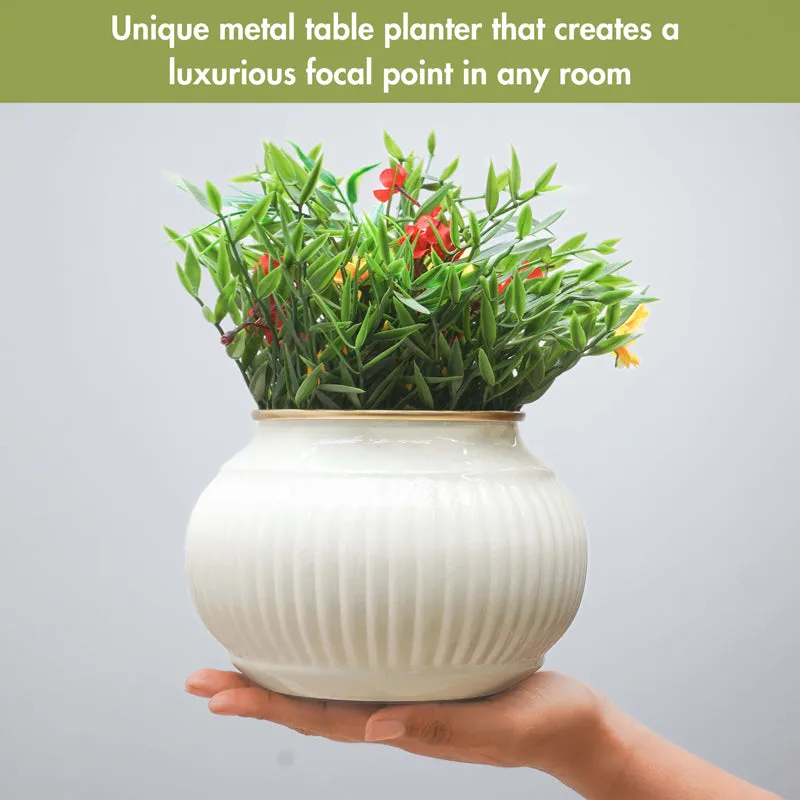 Hortalis Metal Planter media 3