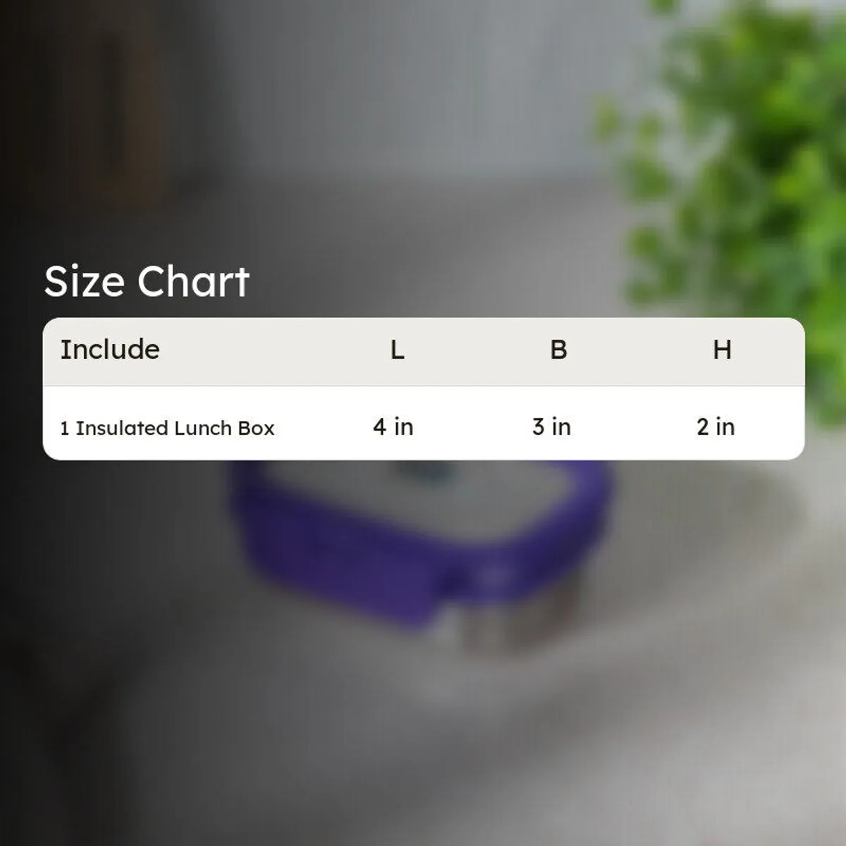 Purple lunch box size chart image