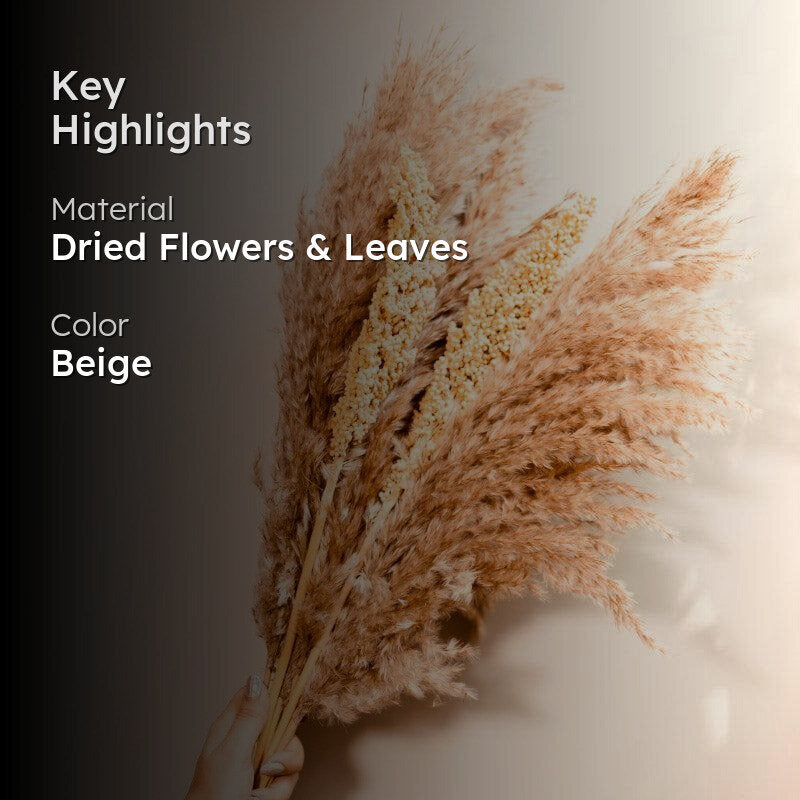 Dried Pampas And Corn Bunch - Set Of Ten media 2