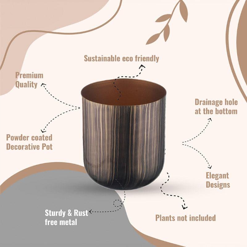 Nebula Goldo Planter - Set Of Two media 5
