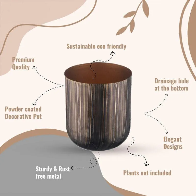 Nebula Goldo Planter - Set Of Two media 5