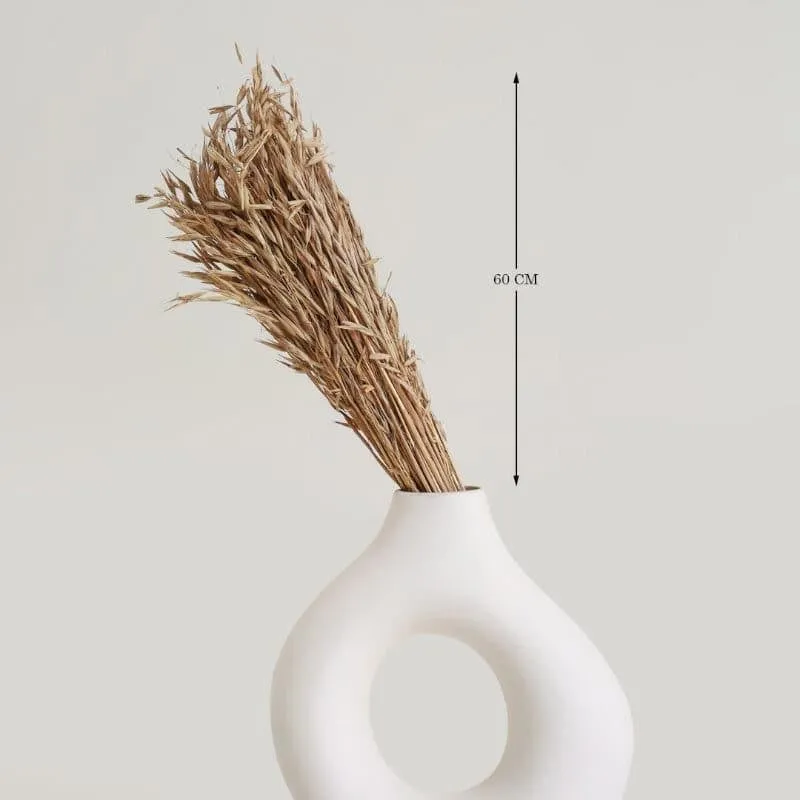 Hazo Millet Grass Dried Havana Grass Bunch - Brown media 4