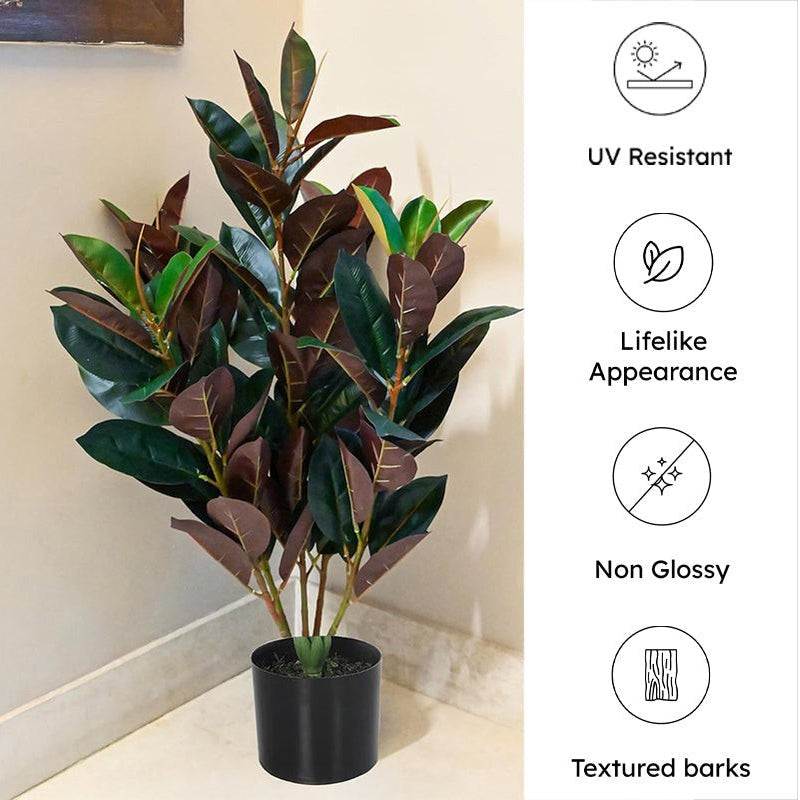 Faux Deco Red Rubber Plant With Black Plastic Pot - 2.79 ft media 6