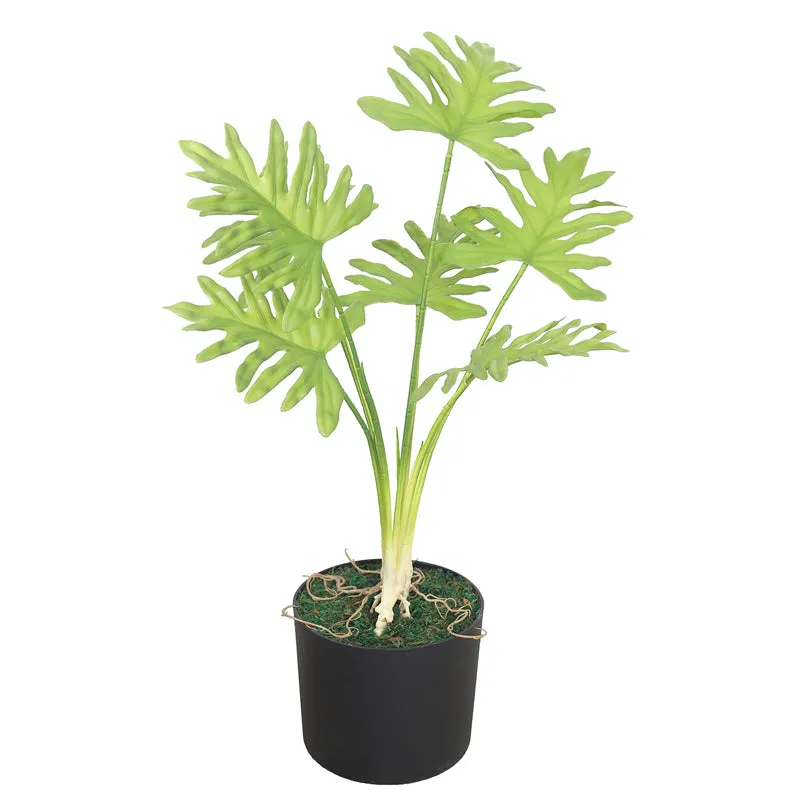 Eden Oasis Artificial Plant With Black Plastic Pot media 3