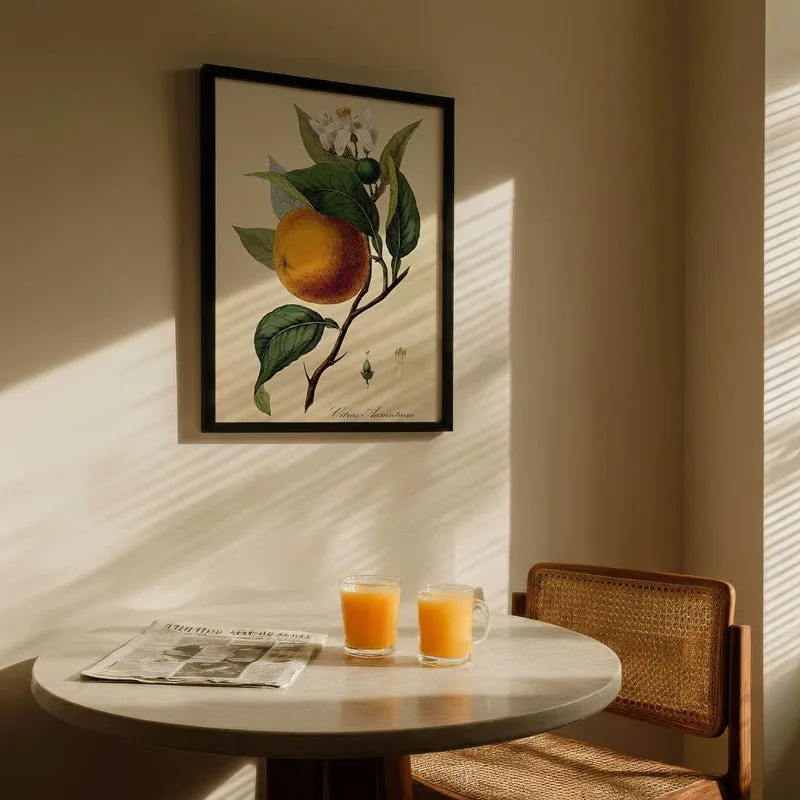 Tropical Zest Archival Canvas Wall Art - Black media 5