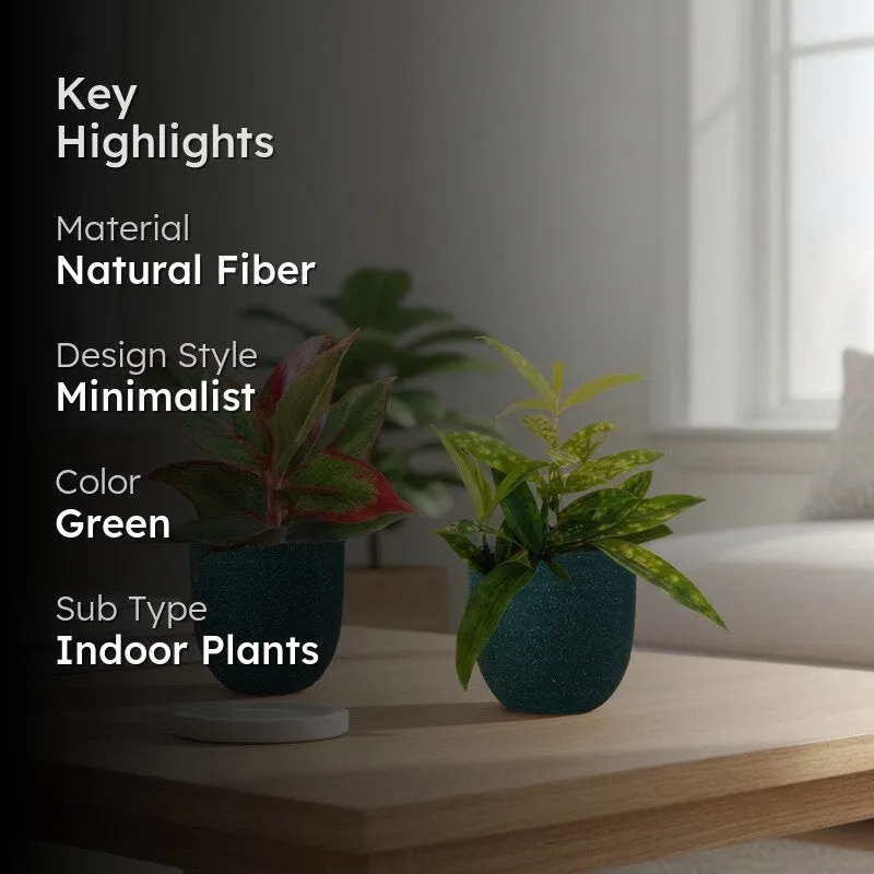 Greenkin Aglaonema Lipstick & Bamboo Live Plants (Green) - Set Of Two media 2
