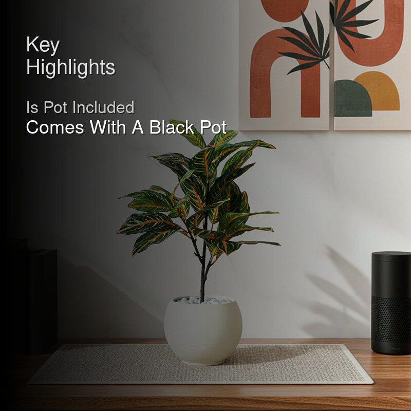 Faux Everlasting Aglaonema Plant With Black Plastic Pot - 74 cm (2.4 ft) media 2