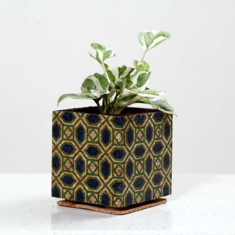 Whimsical Woodland Planter media 6