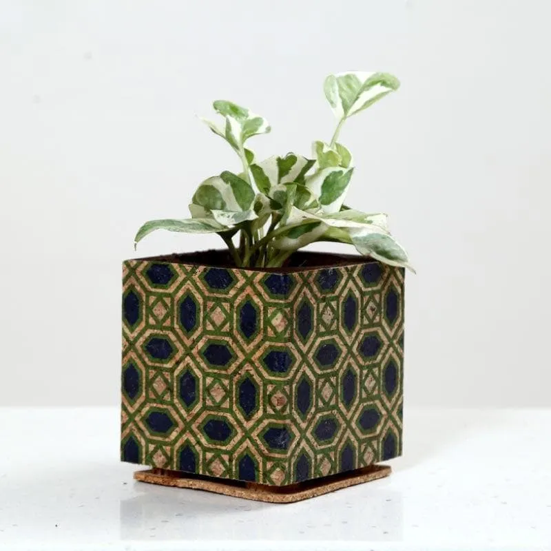 Whimsical Woodland Planter media 6
