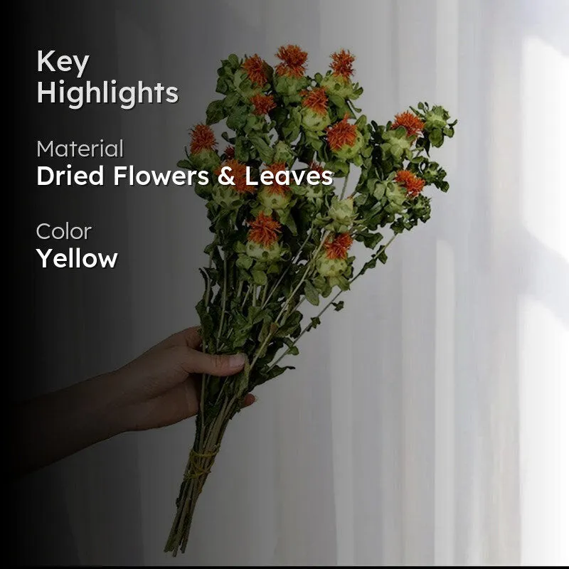 Dried Safflower - Set Of Five media 2
