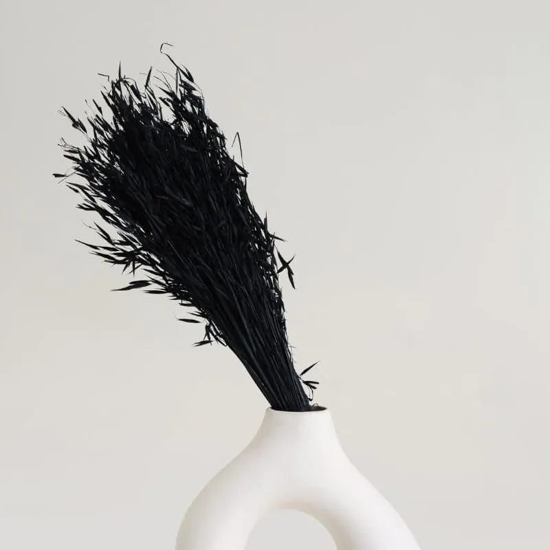 Hazo Millet Grass Dried Havana Grass Bunch - Black media 1