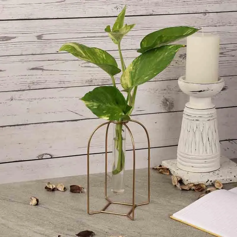 Zenith Testube Planter - Gold media 1