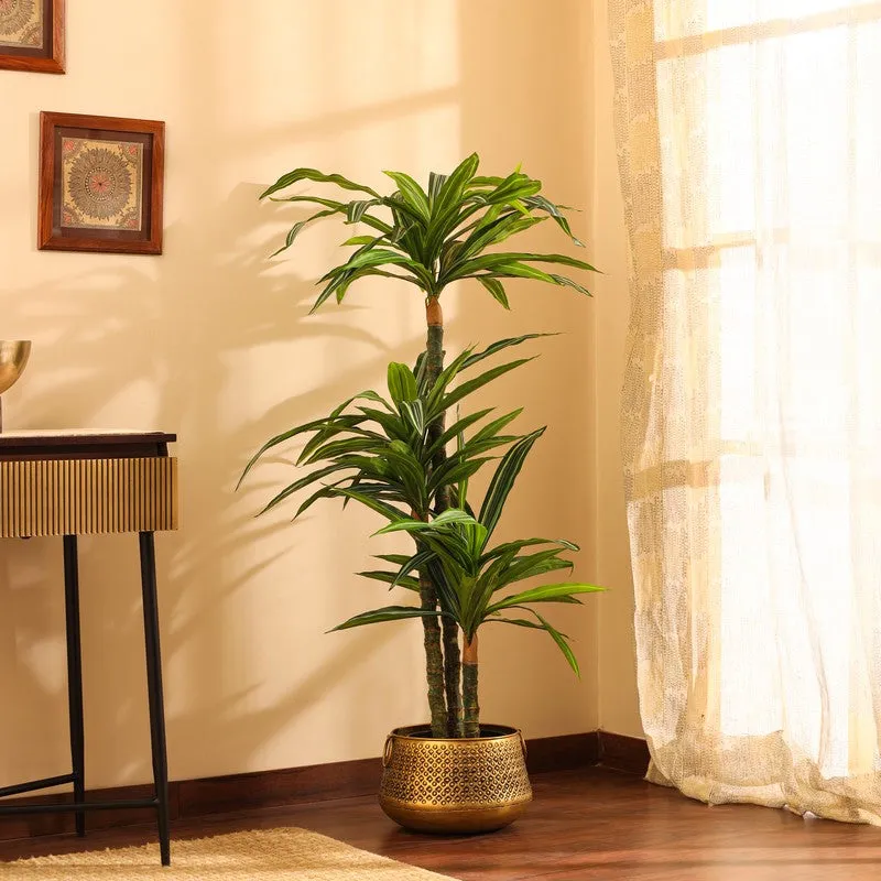 Artificial Variegated Dracaena Plant With Black Plastic Pot 5 ft media 5