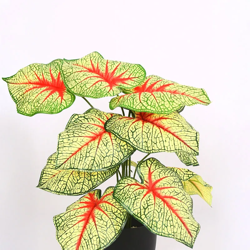 Calena Artificial Caladium With Black Plastic Pot - Yellow & Red media 4