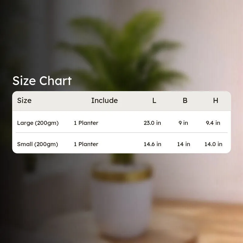 GlowRoot Planter media 7