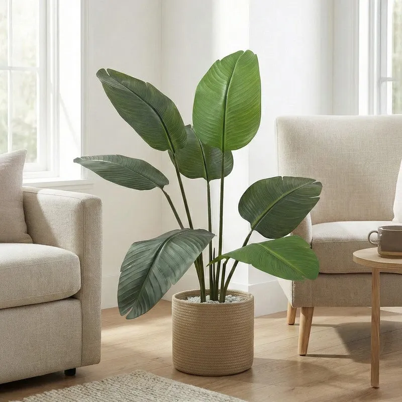 Tropiva Banana Leaf Palm Plant With Black Plastic Pot - 3.6 ft media 3