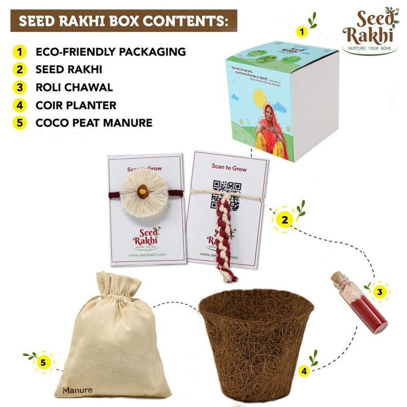 Apoorva Rakshabandhan Seed Rakhi Gift Box media 4