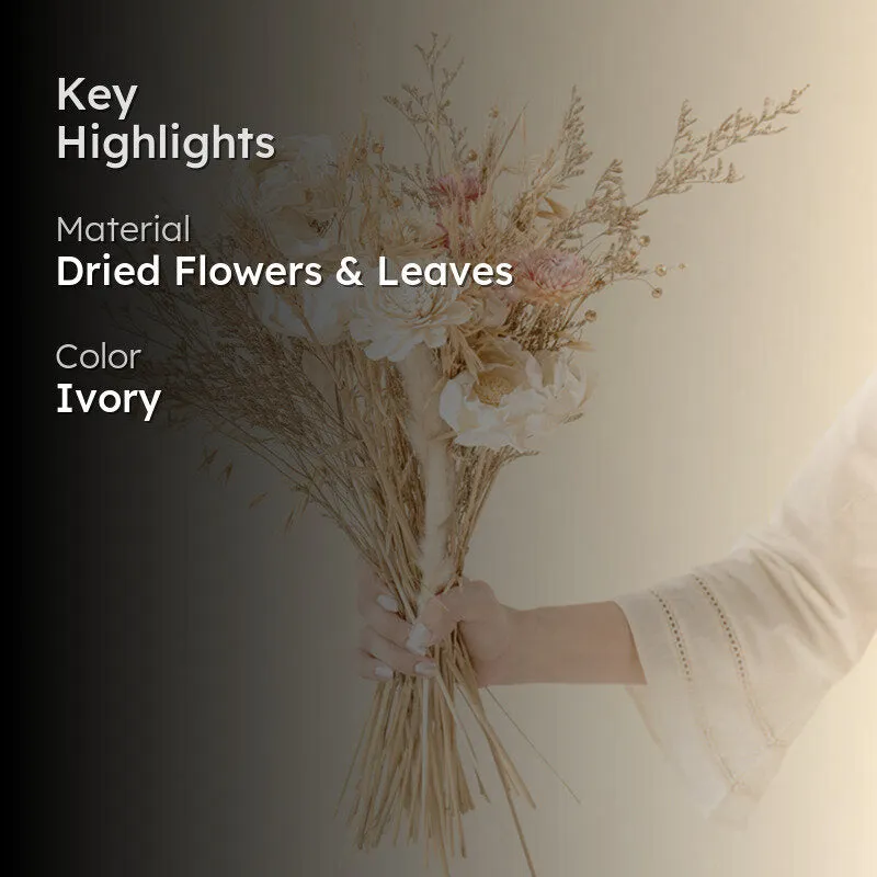 Ivory elegance Dried Flower Bunch media 2