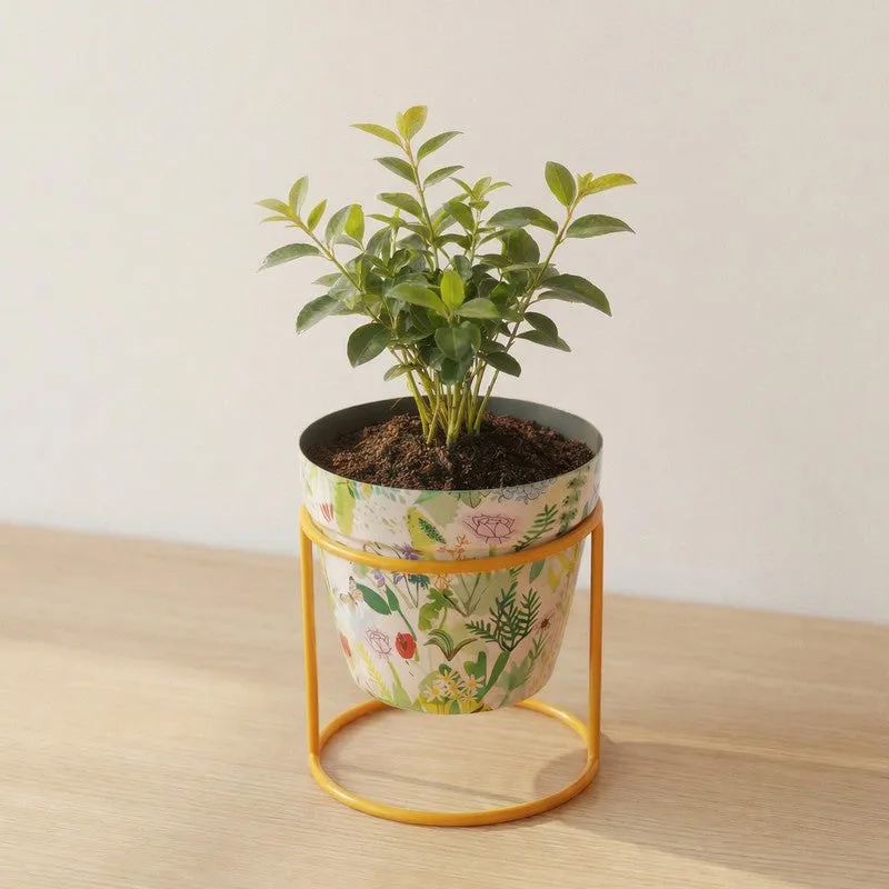 Concrete Metal Planters With Stand - Two Piece Set media 4